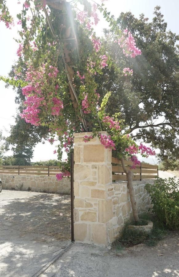 Studio Eleni - Oasis Holiday Houses Kokkinos Pirgos Buitenkant foto