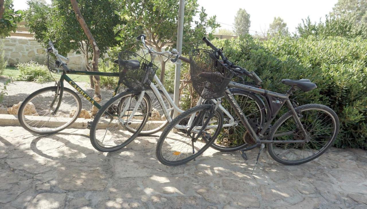 Studio Eleni - Oasis Holiday Houses Kokkinos Pirgos Buitenkant foto